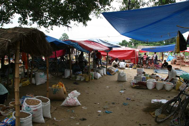 India & Nepal 2011 - 0634